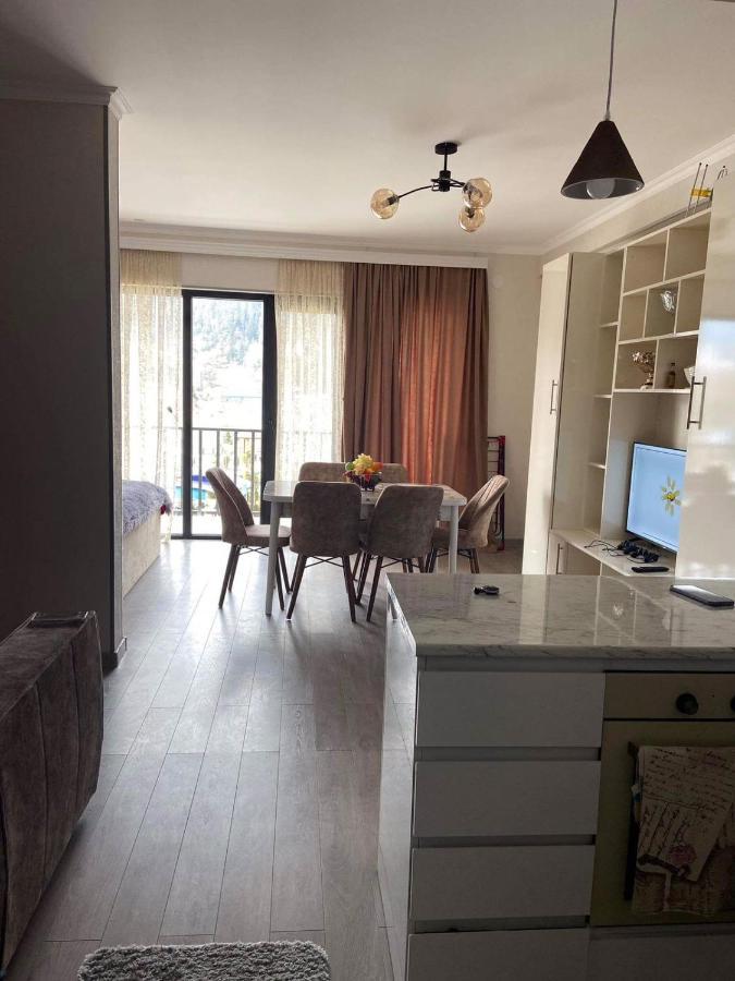 Vitali Apartment Borjomi Esterno foto